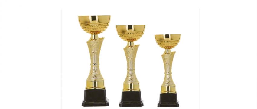 Sportiniai apdovanojimai ir taurės