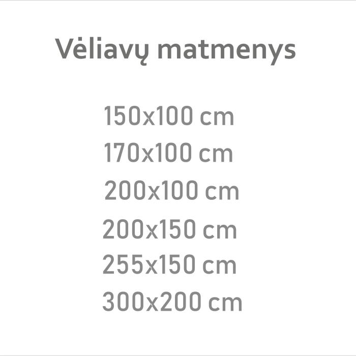 Vėliavų matmenys