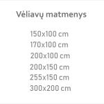Vėliavų matmenys